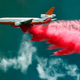 Image: AP